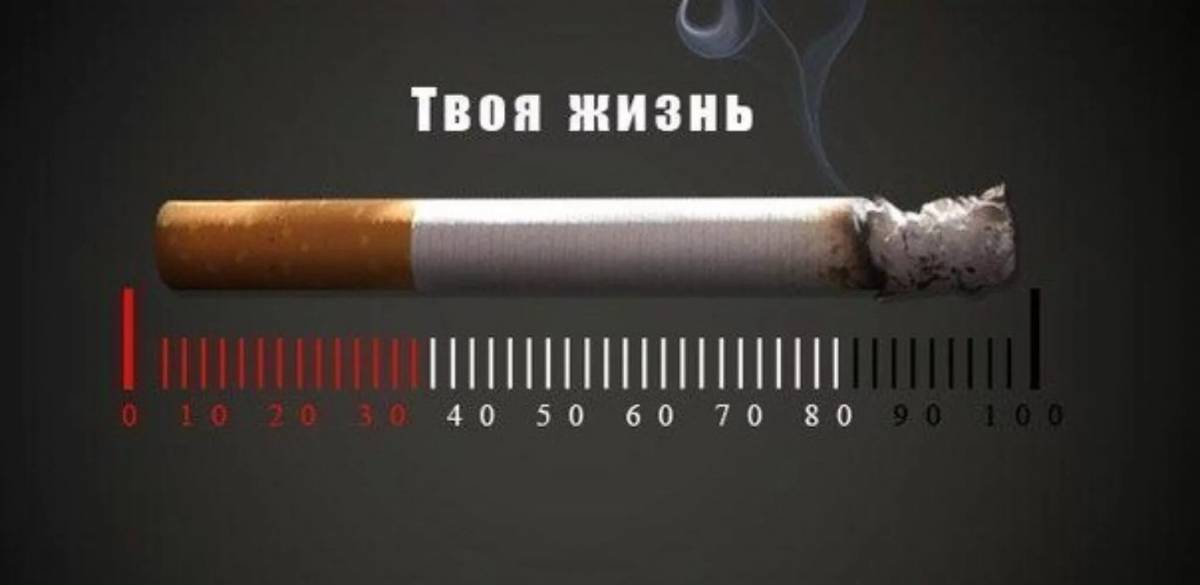 Нет курению #28