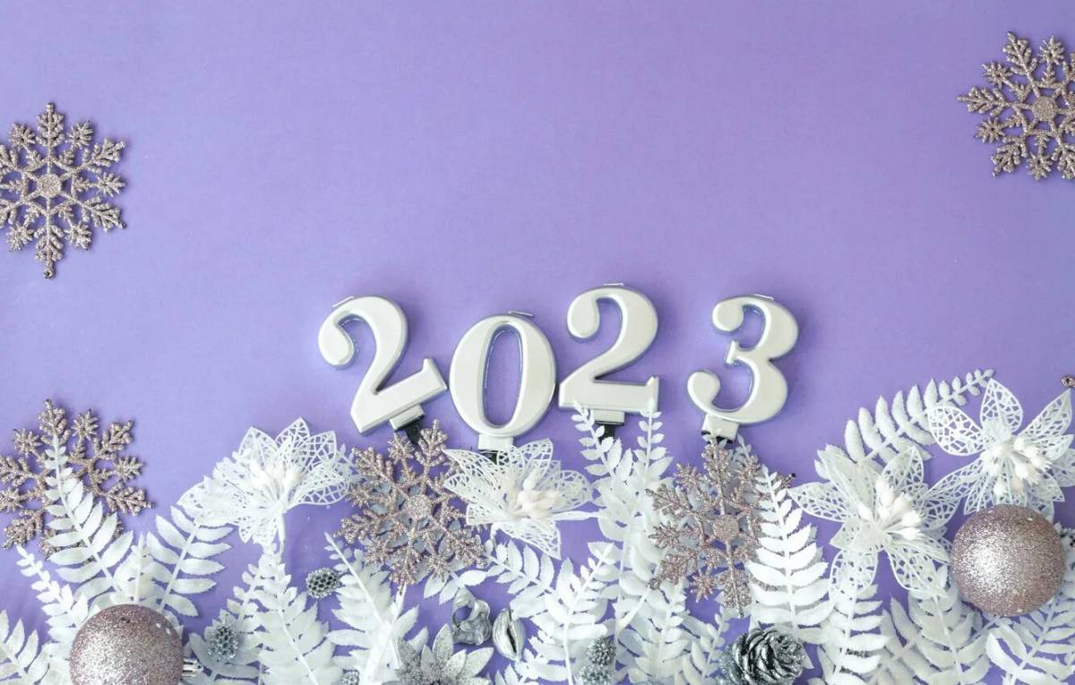 Новогодние 2023 года #15