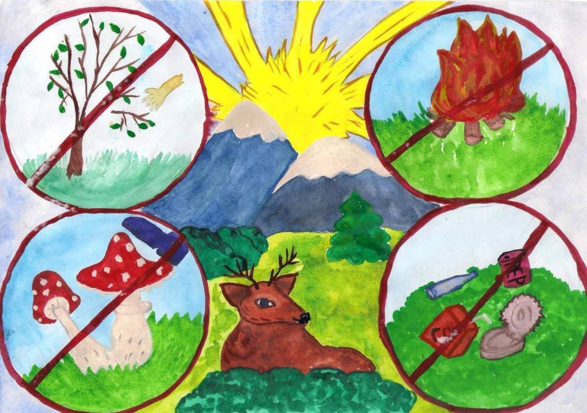 картинки по экологии для детей школьного возраста