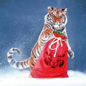 Раскраска новогодний тигр #2 #421112