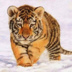 Раскраска новогодний тигр #17 #421127