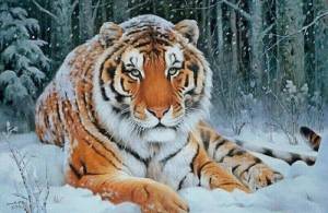 Раскраска новогодний тигр #18 #421128