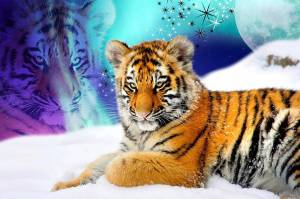 Раскраска новогодний тигр #33 #421143