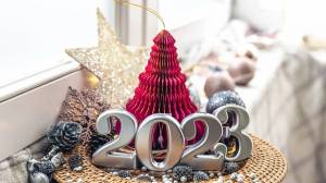 Раскраска новый год 2023 новогодние #3 #422010
