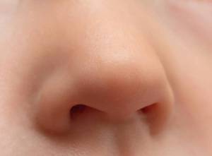 Раскраска нос для детей #2 #423136