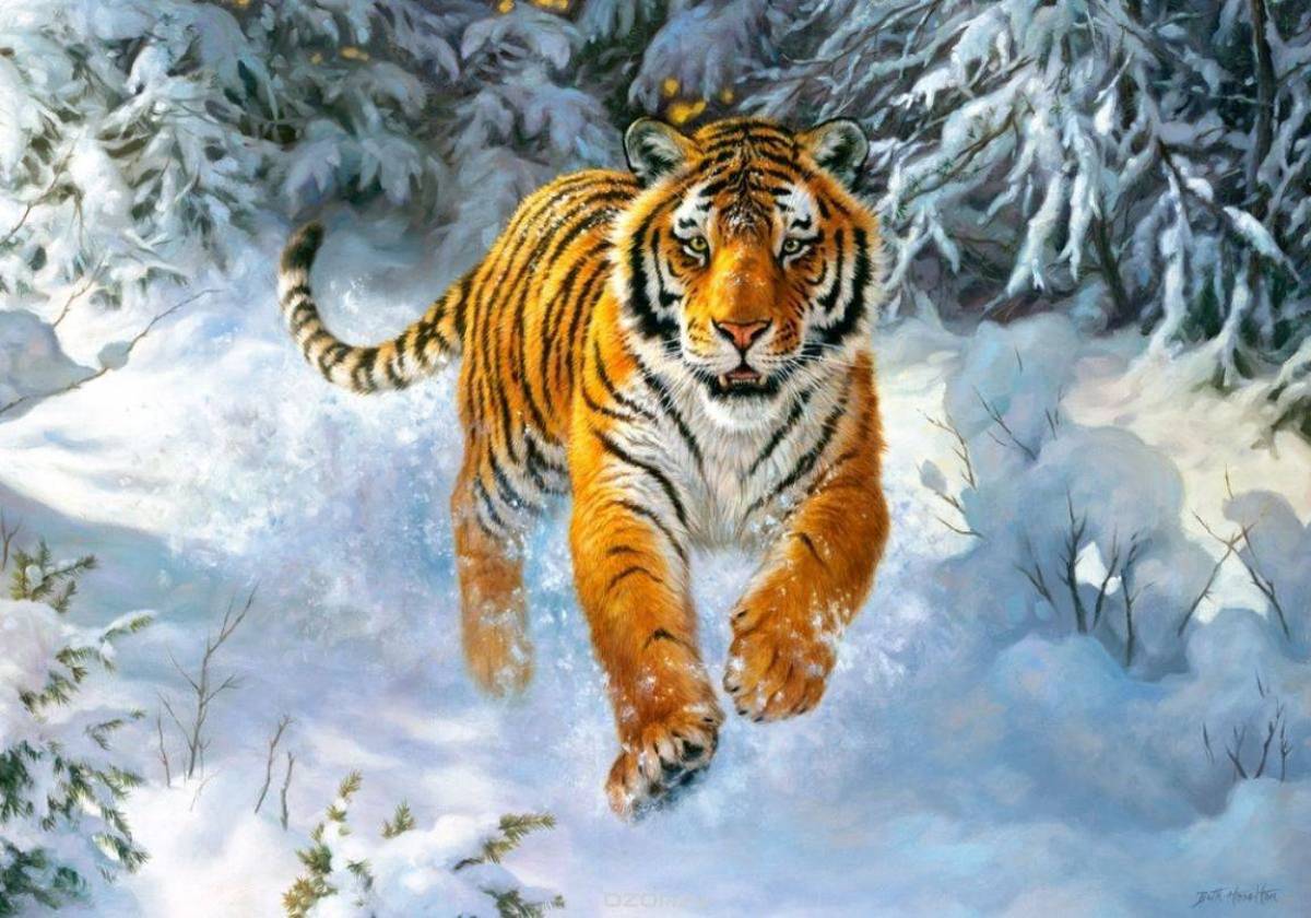 Новогодний тигр #5