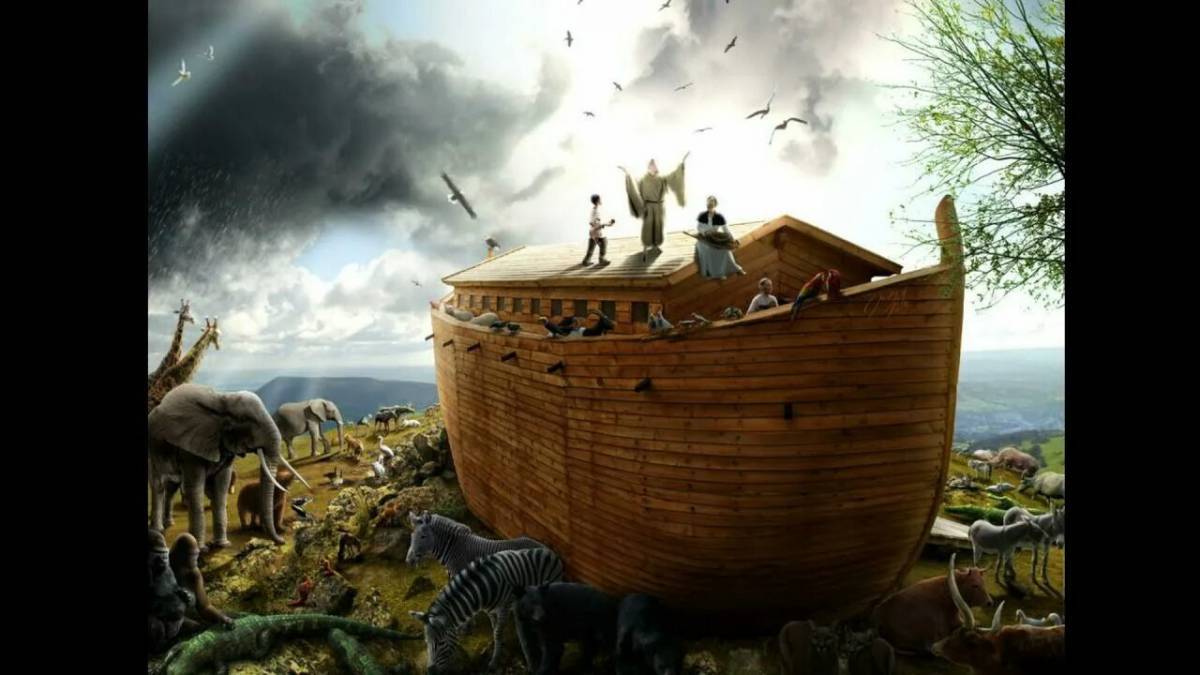 Ноев ковчег #18