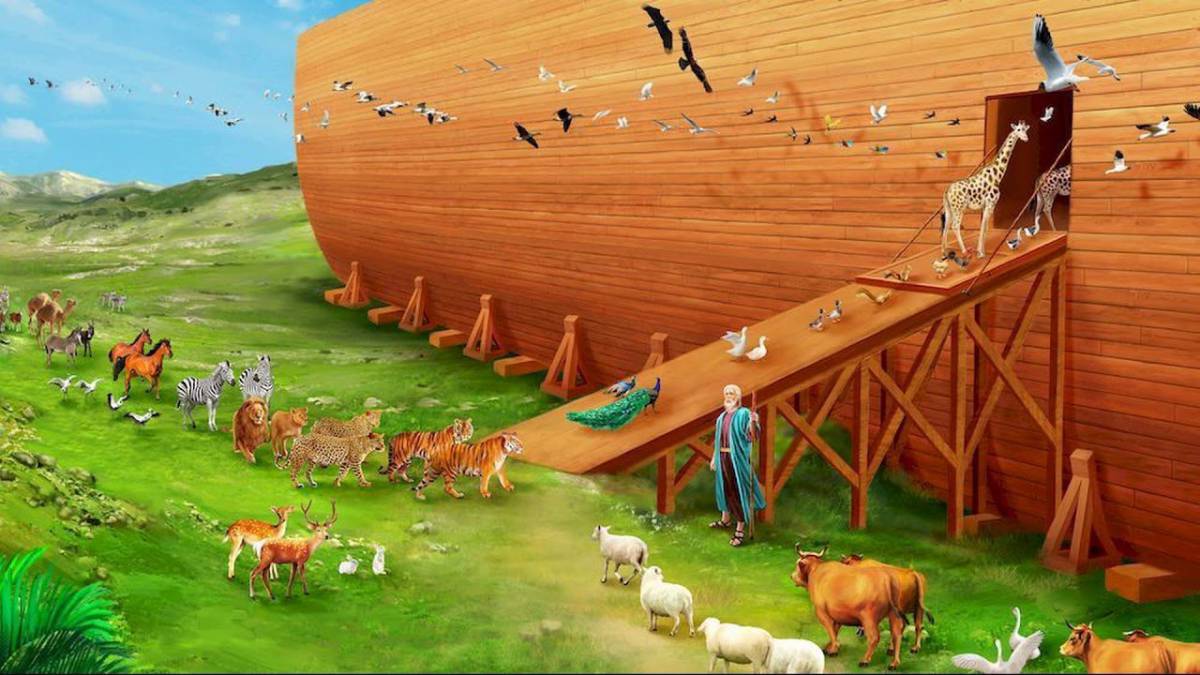 Ноев ковчег #24