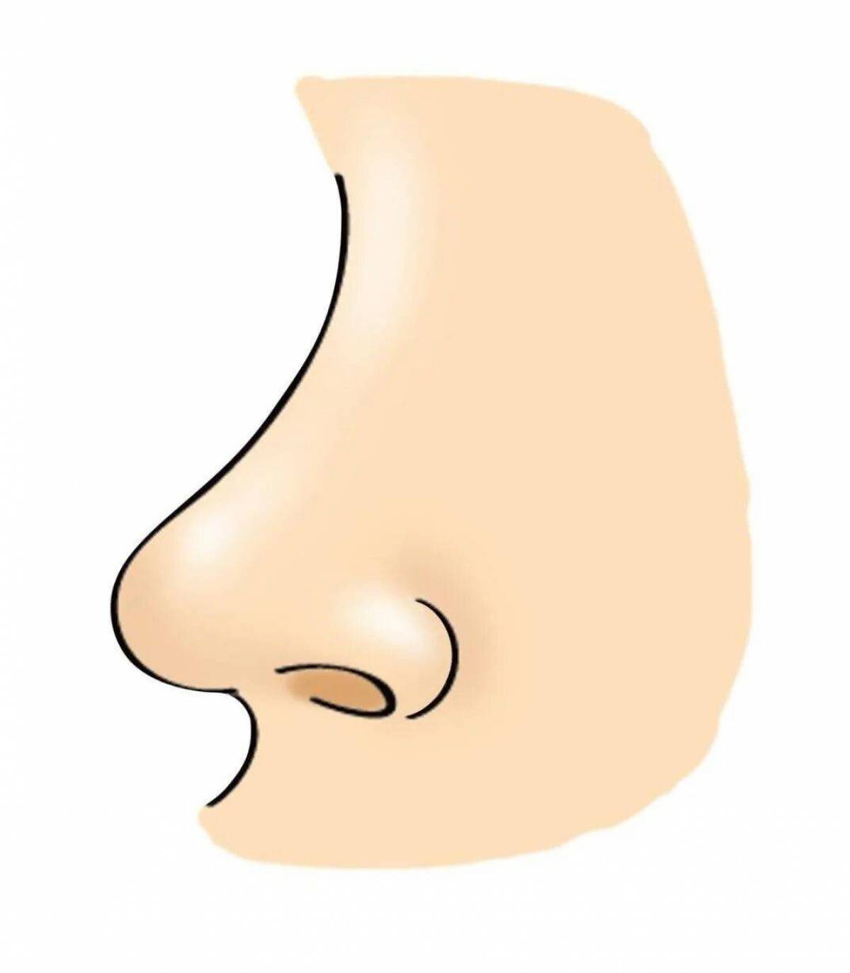 Покажи картинки носа. Части тела нос. Карточка нос. Части тела нос для детей.