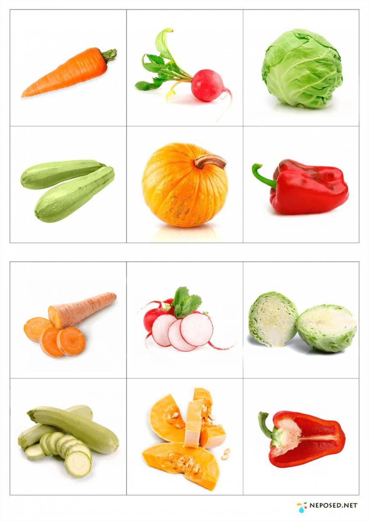 картинки овощи для детей в детском