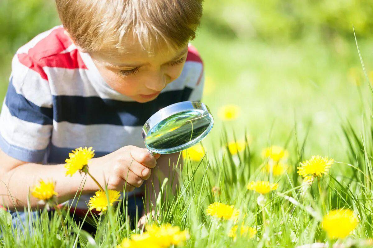 Ознакомление с окружающим миром цветы. Дети и природа. LSNB YF ghbhjls. Наблюдение в природе. Экологическое воспитание дошкольников.