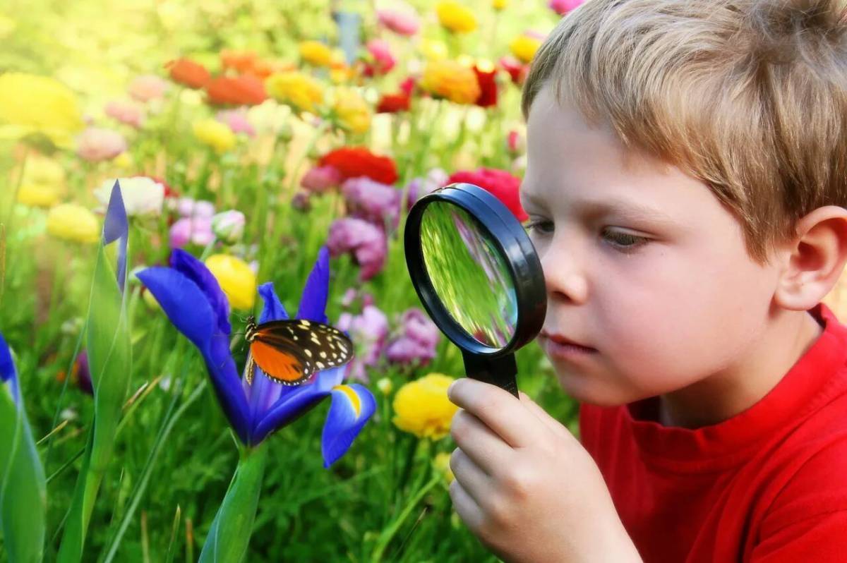 Увлекательный мир. Дети и природа. Дети наблюдают за природой. Дети изучают природу. Изучение природы.