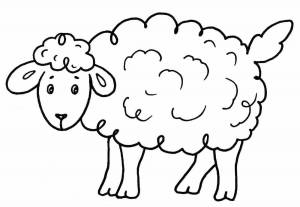 Раскраска овечка для детей 3 4 лет #3 #425061