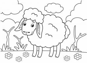 Раскраска овечка для детей 5 6 лет #1 #425096