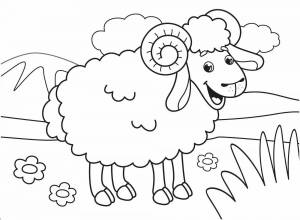 Раскраска овечка для детей 5 6 лет #2 #425097