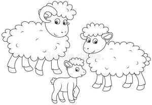 Раскраска овечка для детей 5 6 лет #20 #425115