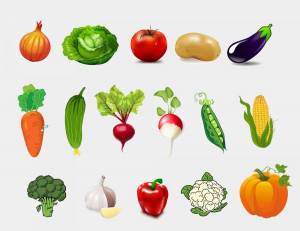 Раскраска овощи для детей 2 3 лет #3 #425136