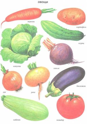 Раскраска овощи для детей 2 3 лет #24 #425157