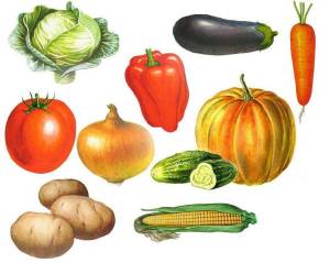 Раскраска овощи для детей 2 3 лет #33 #425166