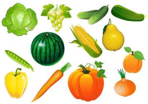 Раскраска овощи для детей 4 5 лет #19 #425226