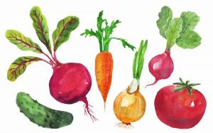 Раскраска овощи для детей 4 5 лет #35 #425242