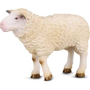 Раскраска овца для детей #2 #425361