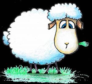 Раскраска овца для детей #8 #425367