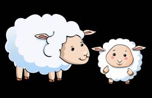 Раскраска овца для детей #12 #425371