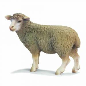 Раскраска овца для детей #15 #425374