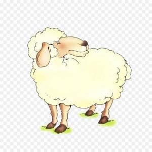 Раскраска овца для детей #17 #425376