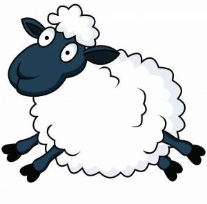 Раскраска овца для детей #21 #425380