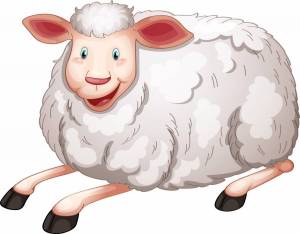 Раскраска овца для детей #27 #425386