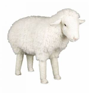 Раскраска овца для детей #28 #425387
