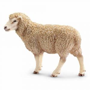 Раскраска овца для детей #31 #425390