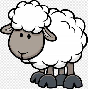 Раскраска овца для детей #33 #425392