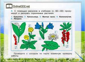 Раскраска окружающий мир 1 класс #33 #426916