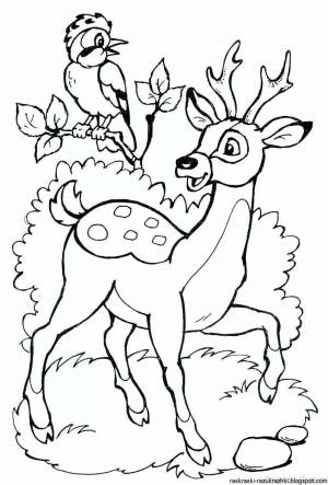 Раскраска олень для детей 6 7 лет #11 #427136