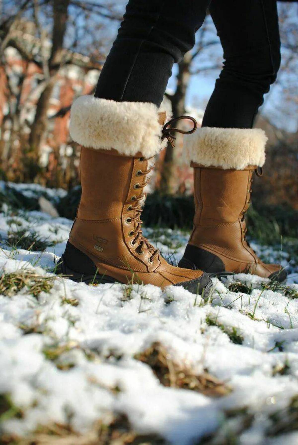 Запах зимней обуви. Сапоги Snow Boots. Martanni Snow Boots угги. Зимние сапоги UGG Adirondack. Ботинки обувь женская Винтер зимние.