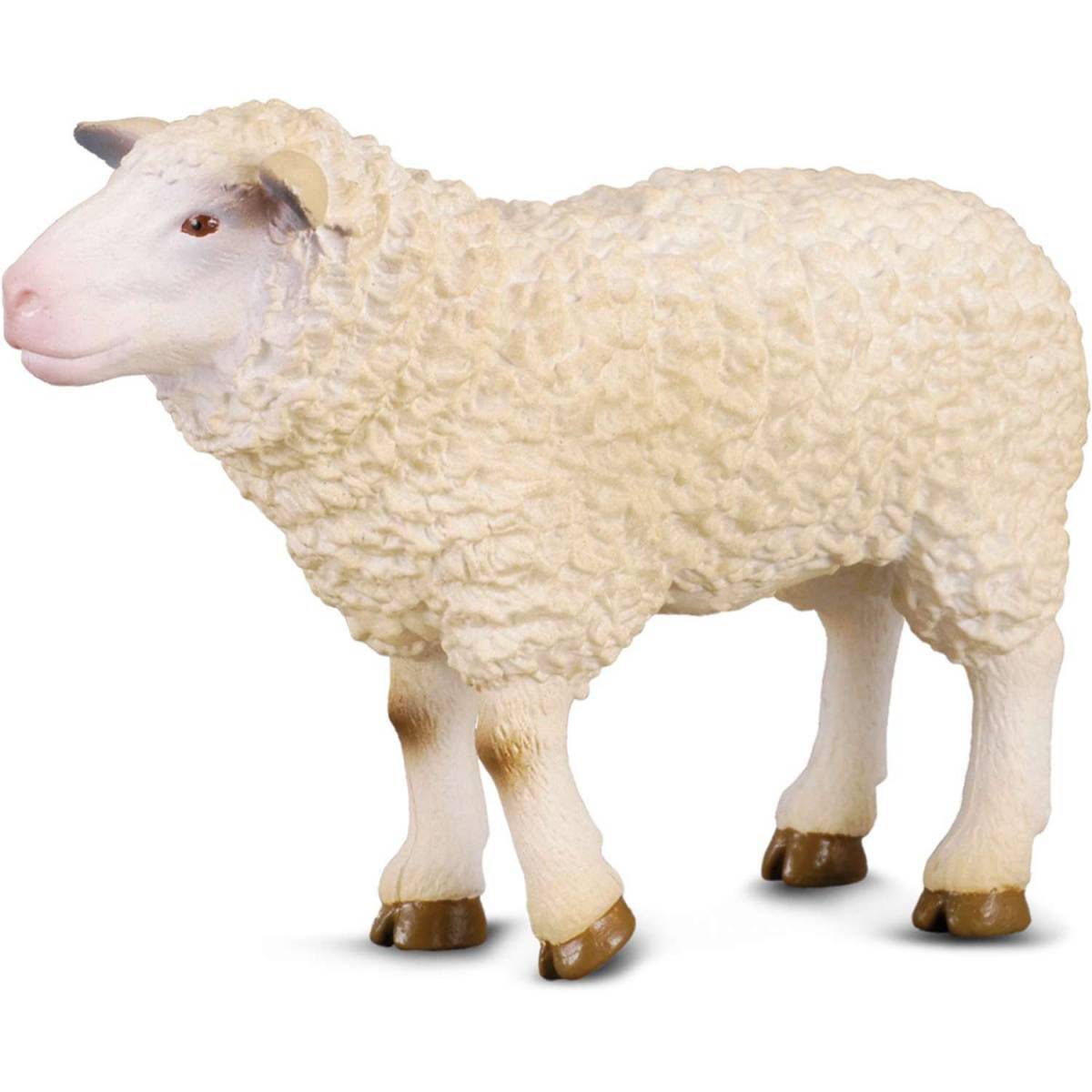 Овца для детей #2