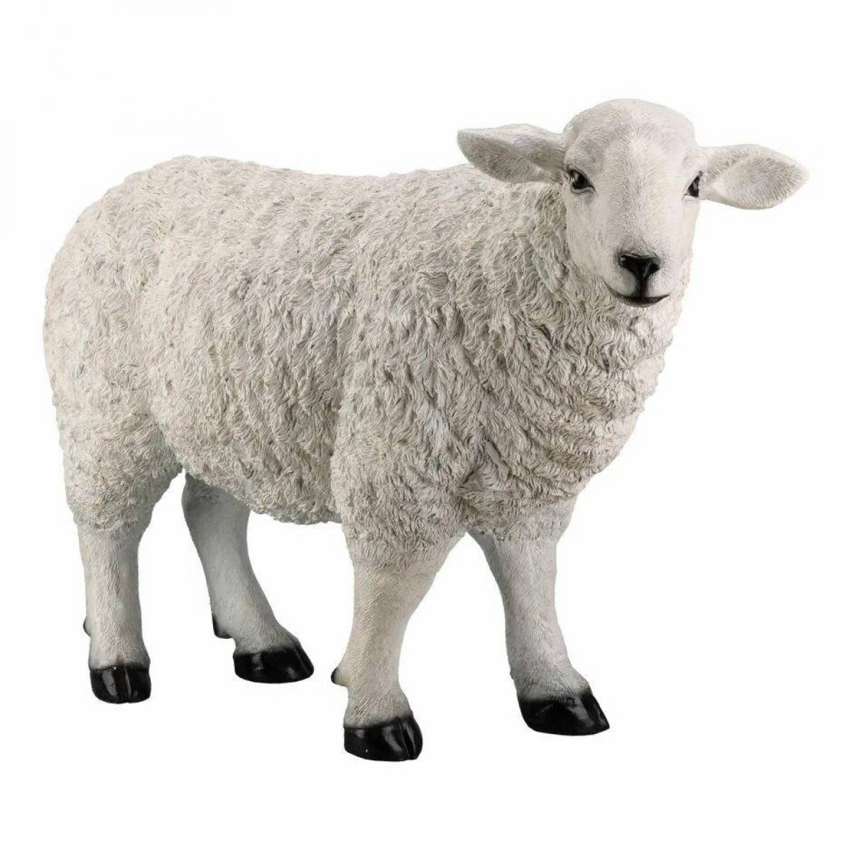 Овца для детей #3