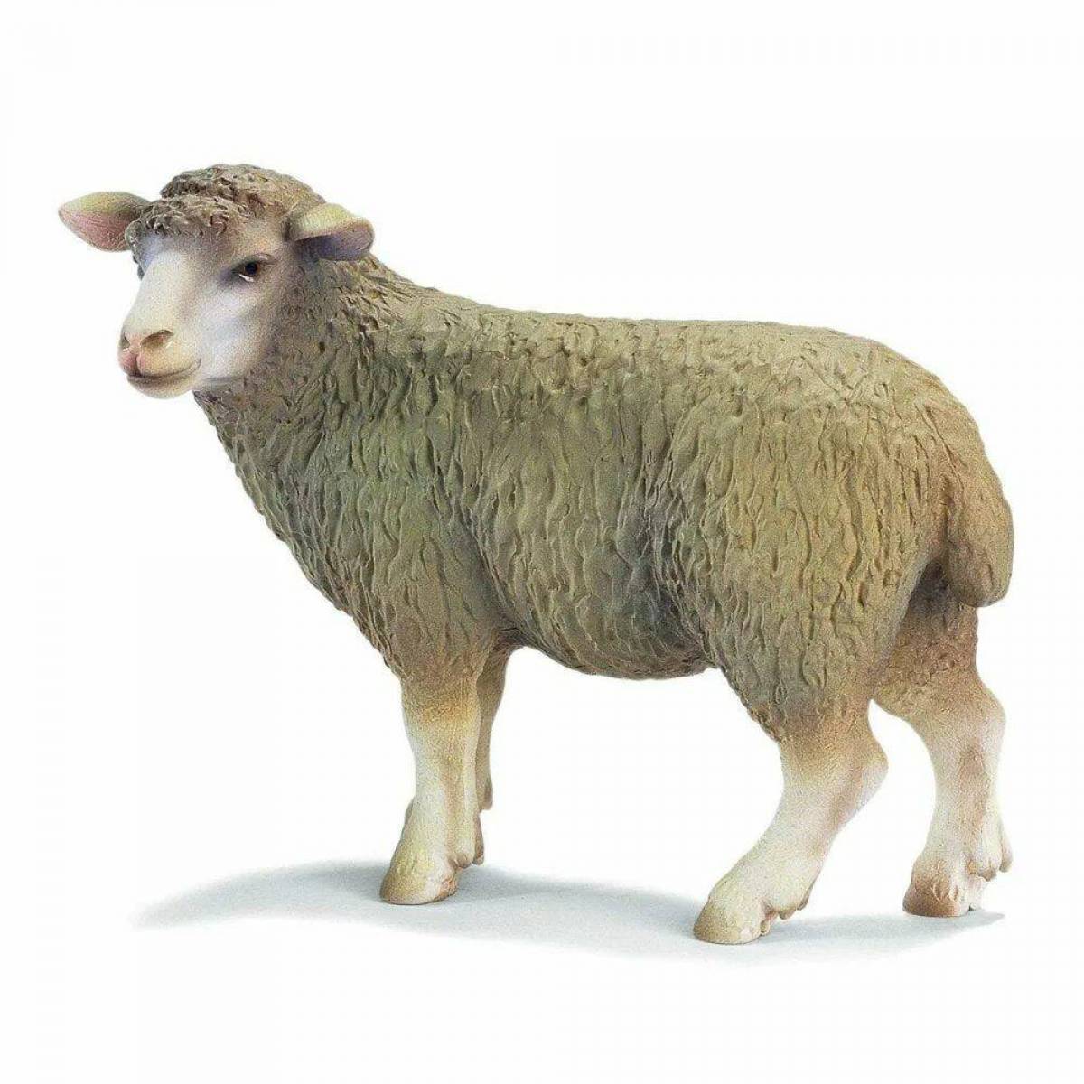 Овца для детей #15