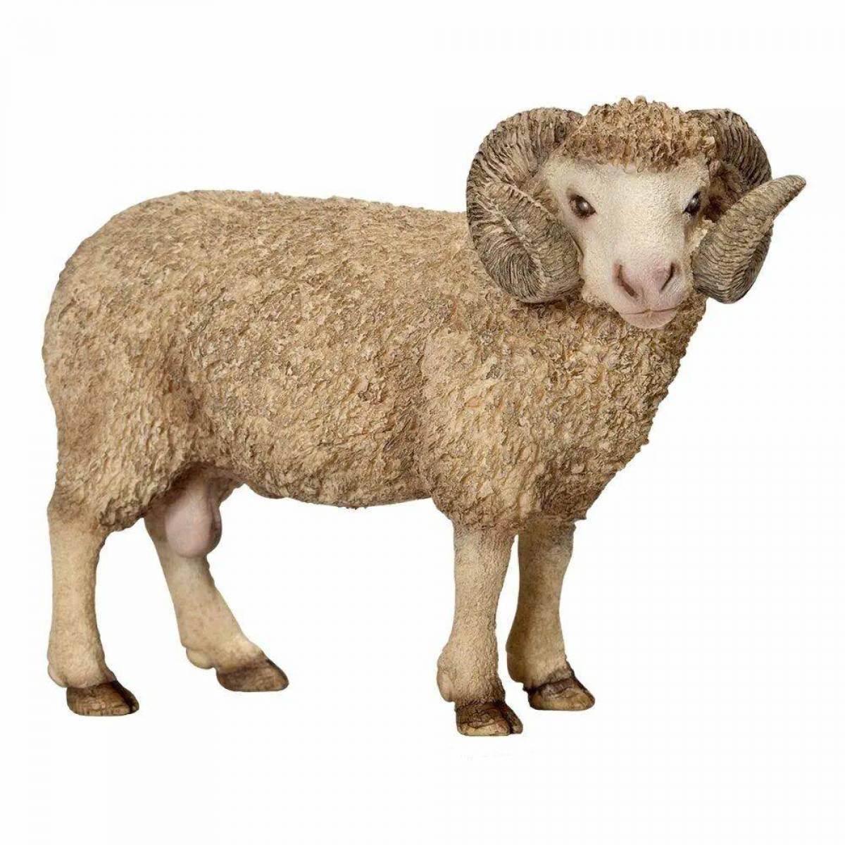 Овца для детей #19