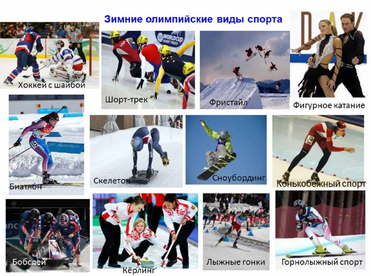Олимпийские зимние виды спорта #1