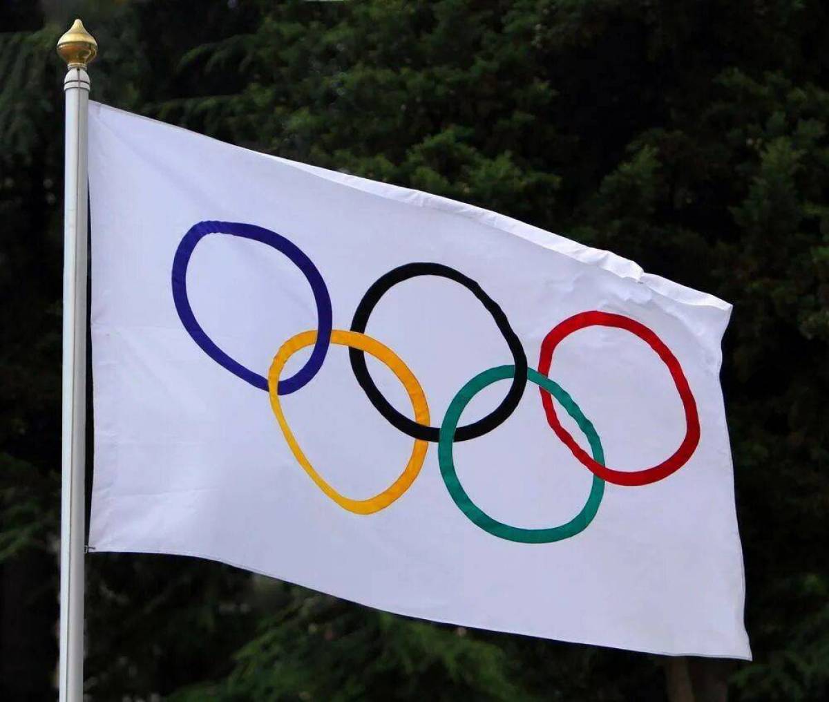 Олимпийский флаг #4