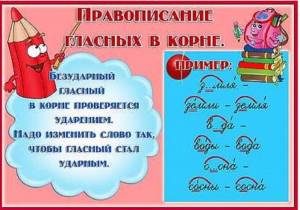 Раскраска орфографические #24 #429236