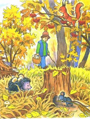 Раскраска осень для детей 5 6 лет #32 #429524