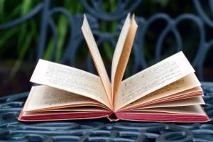 Раскраска открытая книга #10 #430357