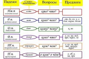 Раскраска падежи #27 #431827