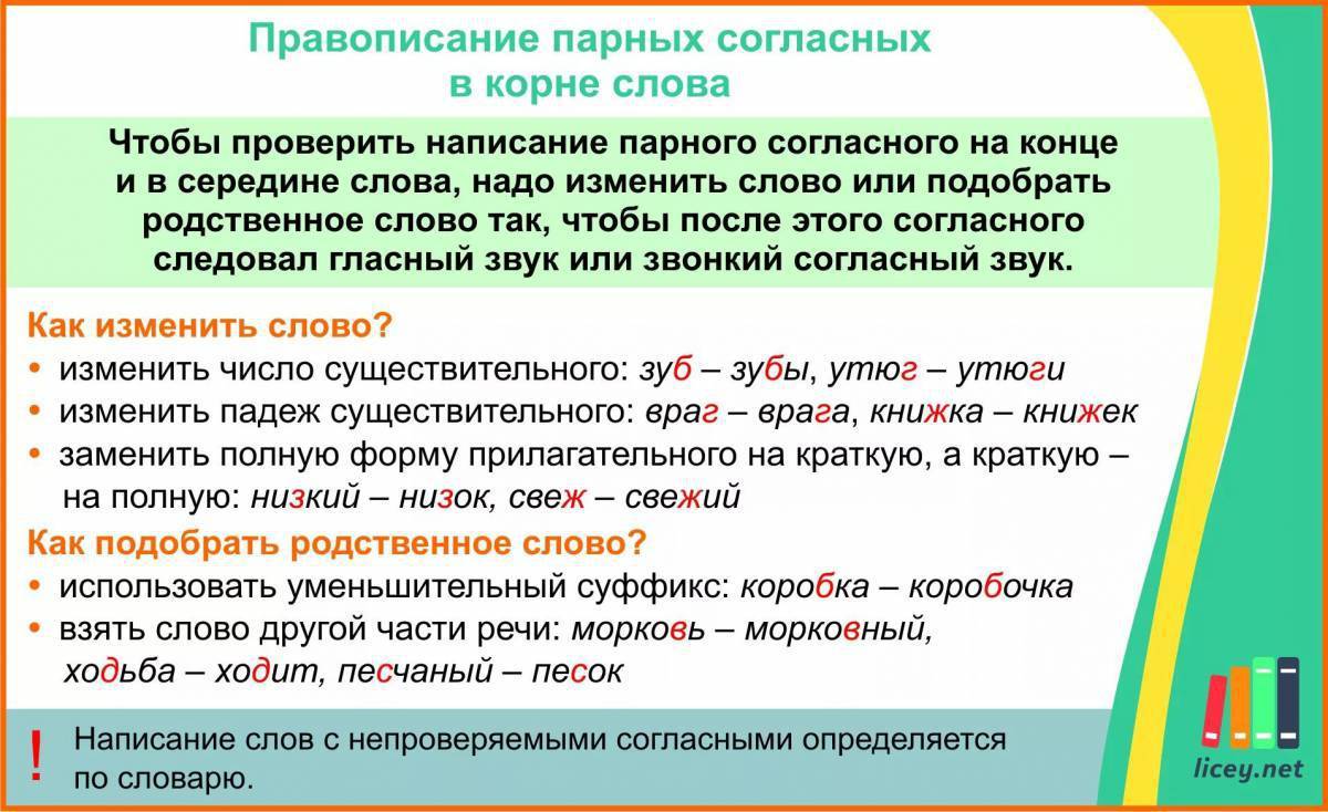 Написание парных согласных в корне слова правило. Примеры слов правила парные согласные в корне. Правило проверки парной согласной в корне слова 2 класс. Парная согласная в корне слова правило.