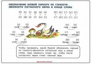 Раскраска парные согласные в корне слова 2 класс #7 #433630